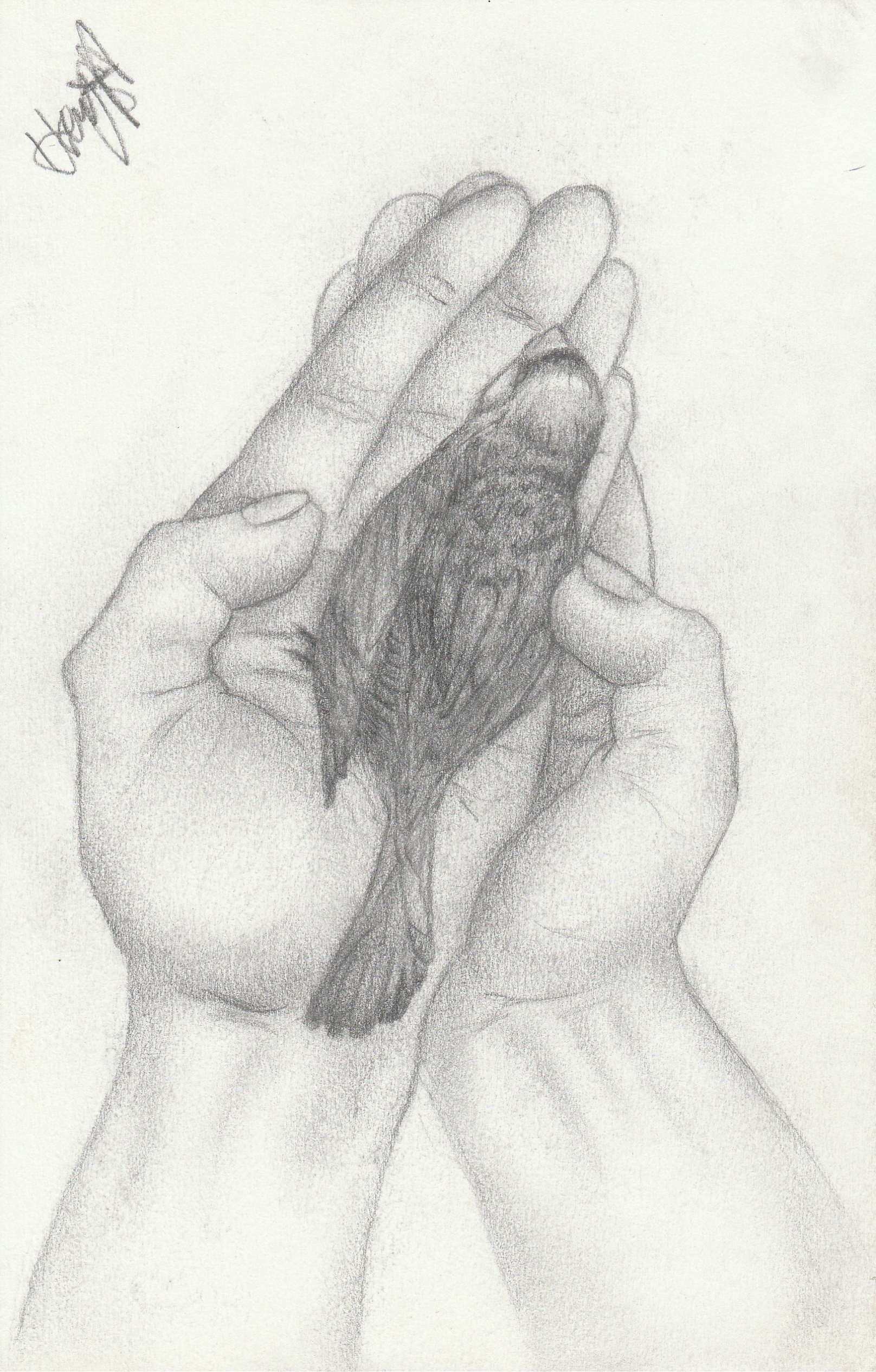 birb graphite